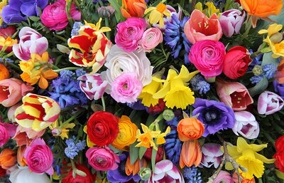 KWIATY (FIORI)