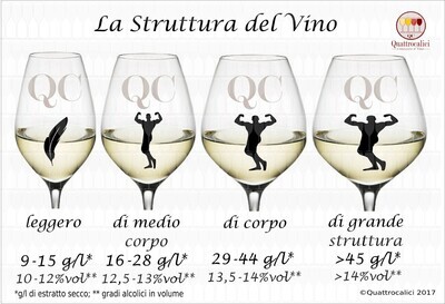 STRUKTURA WINA