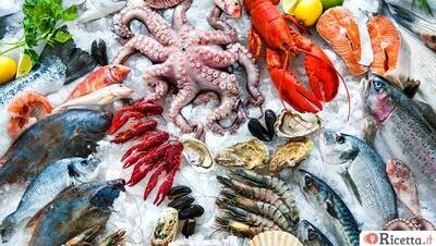 RYBA (PESCE)