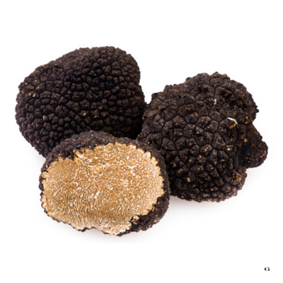 TRUFLA (TARTUFO)