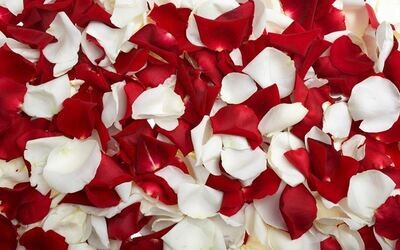 PŁATKI RÓŻ (PETALI DI ROSA)