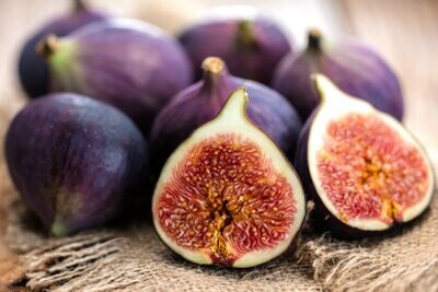 FIGI (FICHI)