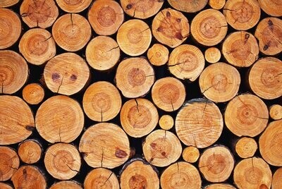 DREWNO (LEGNO)