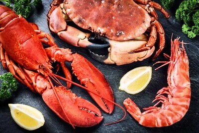 SKORUPIAKI (CROSTACEI)