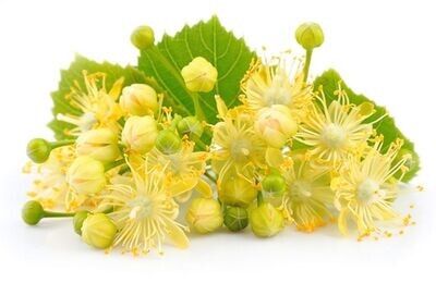 KWIATY LIPY (FIORI DI TIGLIO)