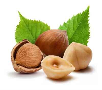 ORZECH LASKOWY (NOCCIOLA)