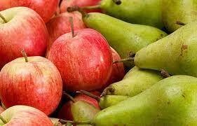 DRZEWA OWOCOWE (ALBERI DA FRUTTA)
