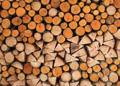DREWNO (LEGNO)