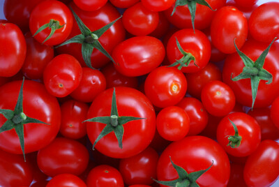 POMIDOR (POMODORO)