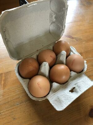 Local Free Range Eggs