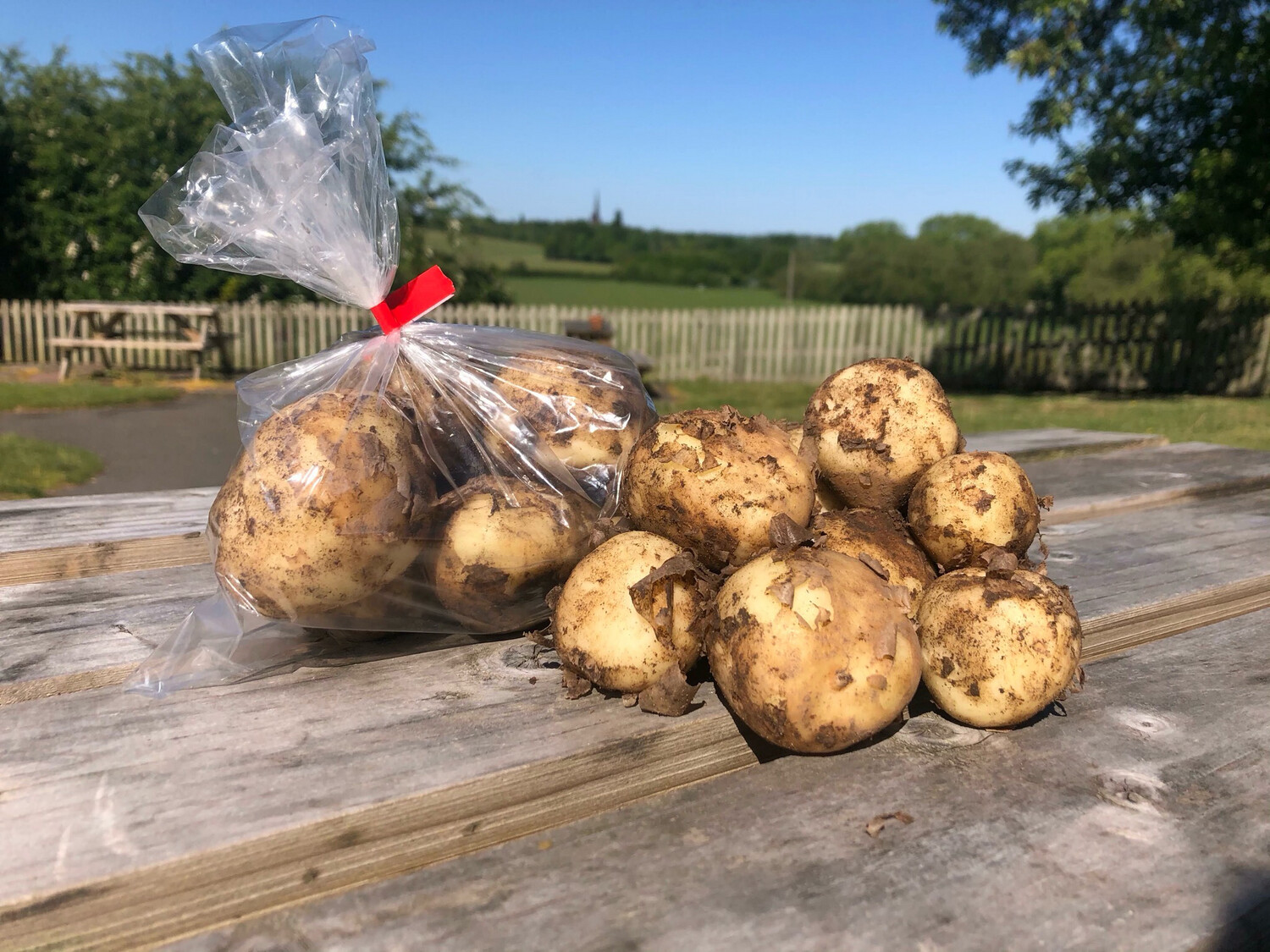 Cheshire Potatoes 1kg