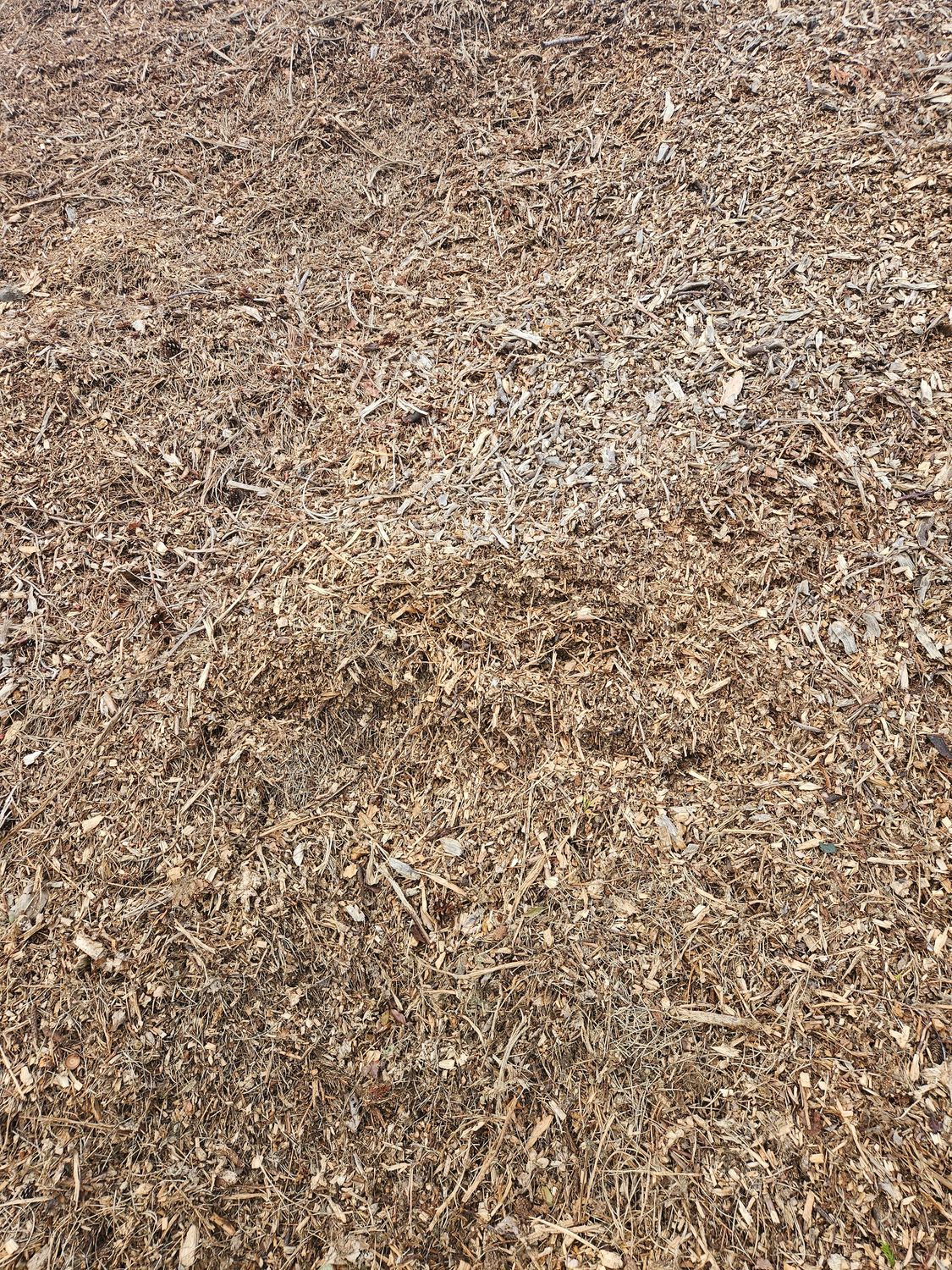Wood Chip 2 cubic metres (tipped) Wood Chip 2 cubic metres (tipped)