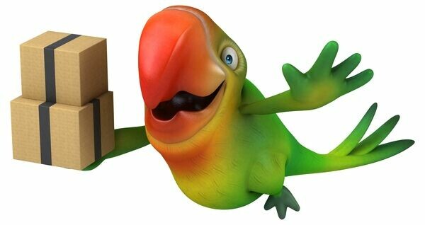 Parrots Naturally