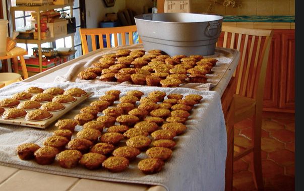 NM Birdie Muffins SM