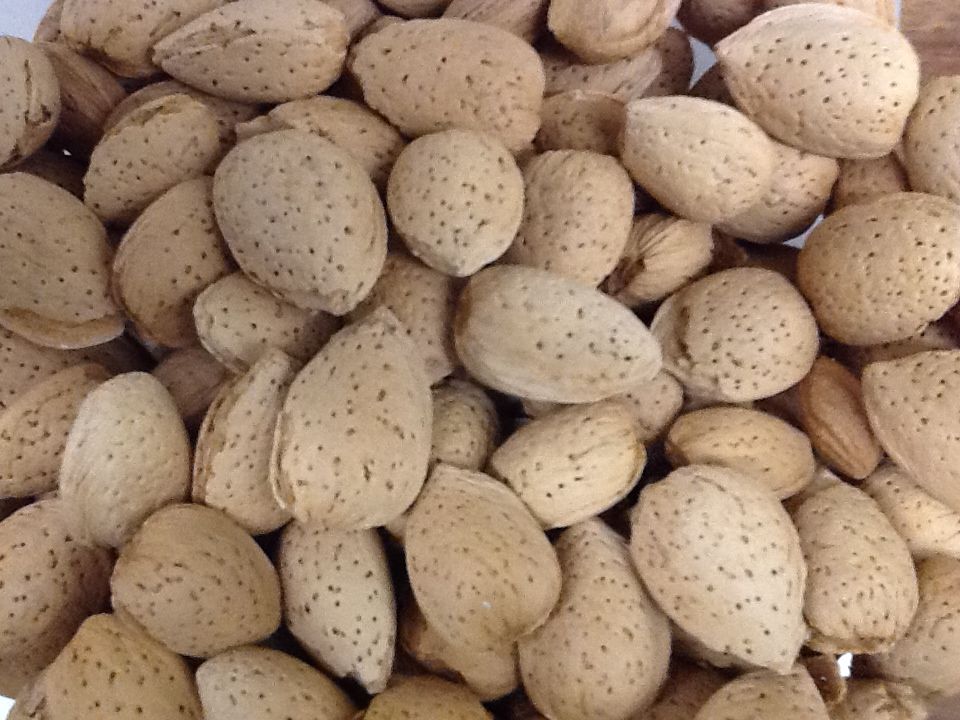 NM Almonds in Shell 1#