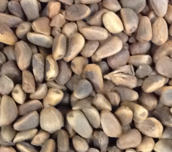 NM Pinenuts 8 oz