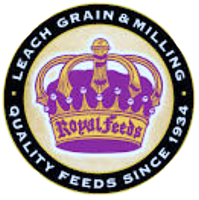 LEACH