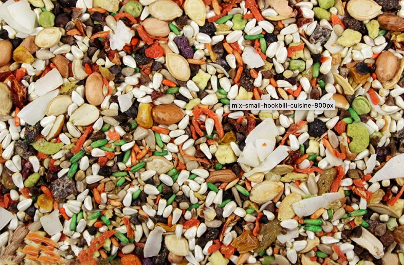 LE 2# Conure/Tiel Cuisine