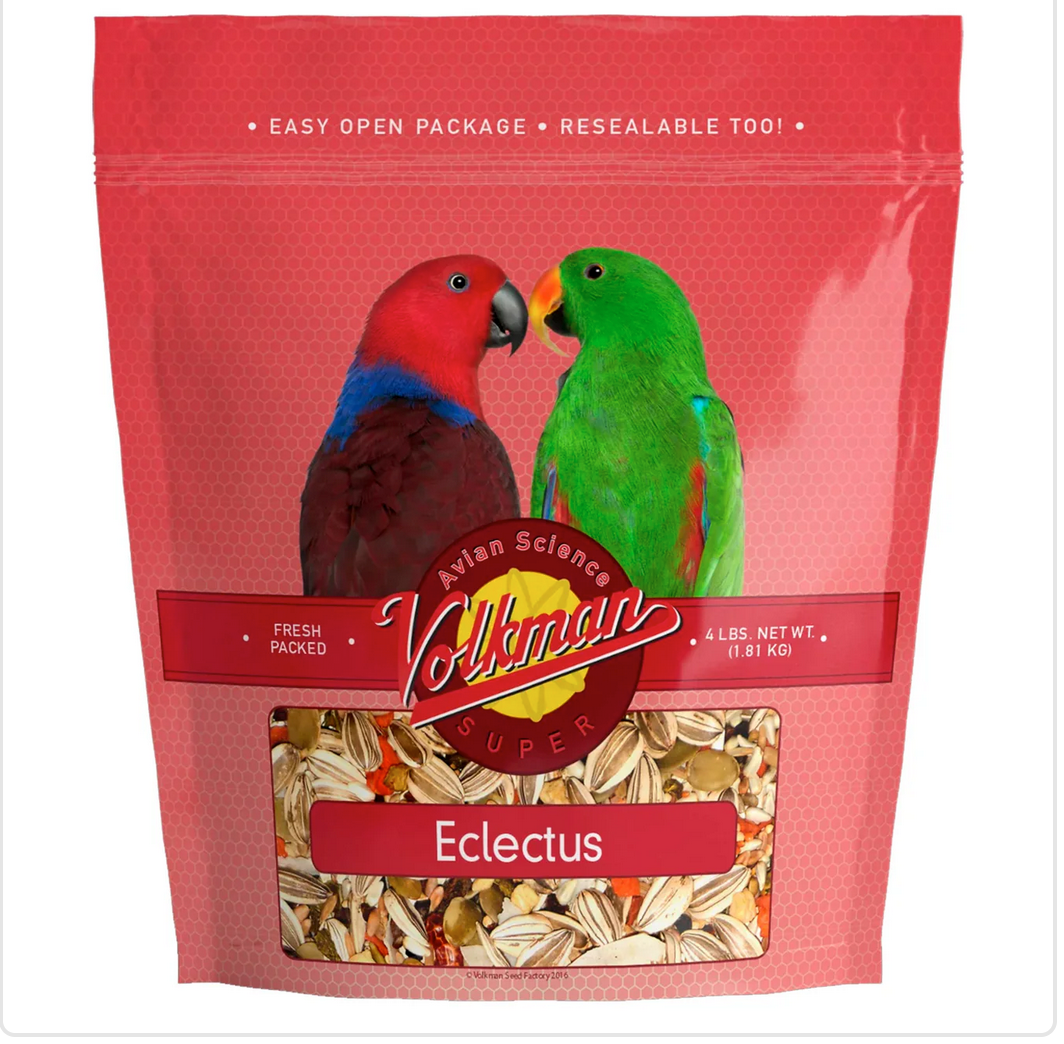 VOL Eclectus 4#