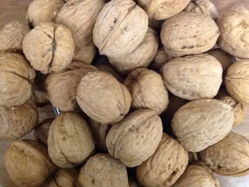 NM WALNUTS in the shell 1 #