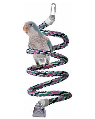 BUNGEES/COILS