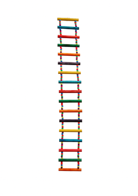 LADDERS