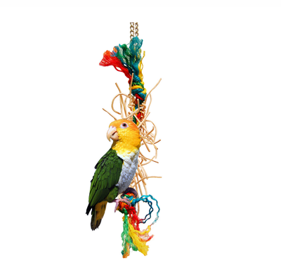 SMALL PARROTS