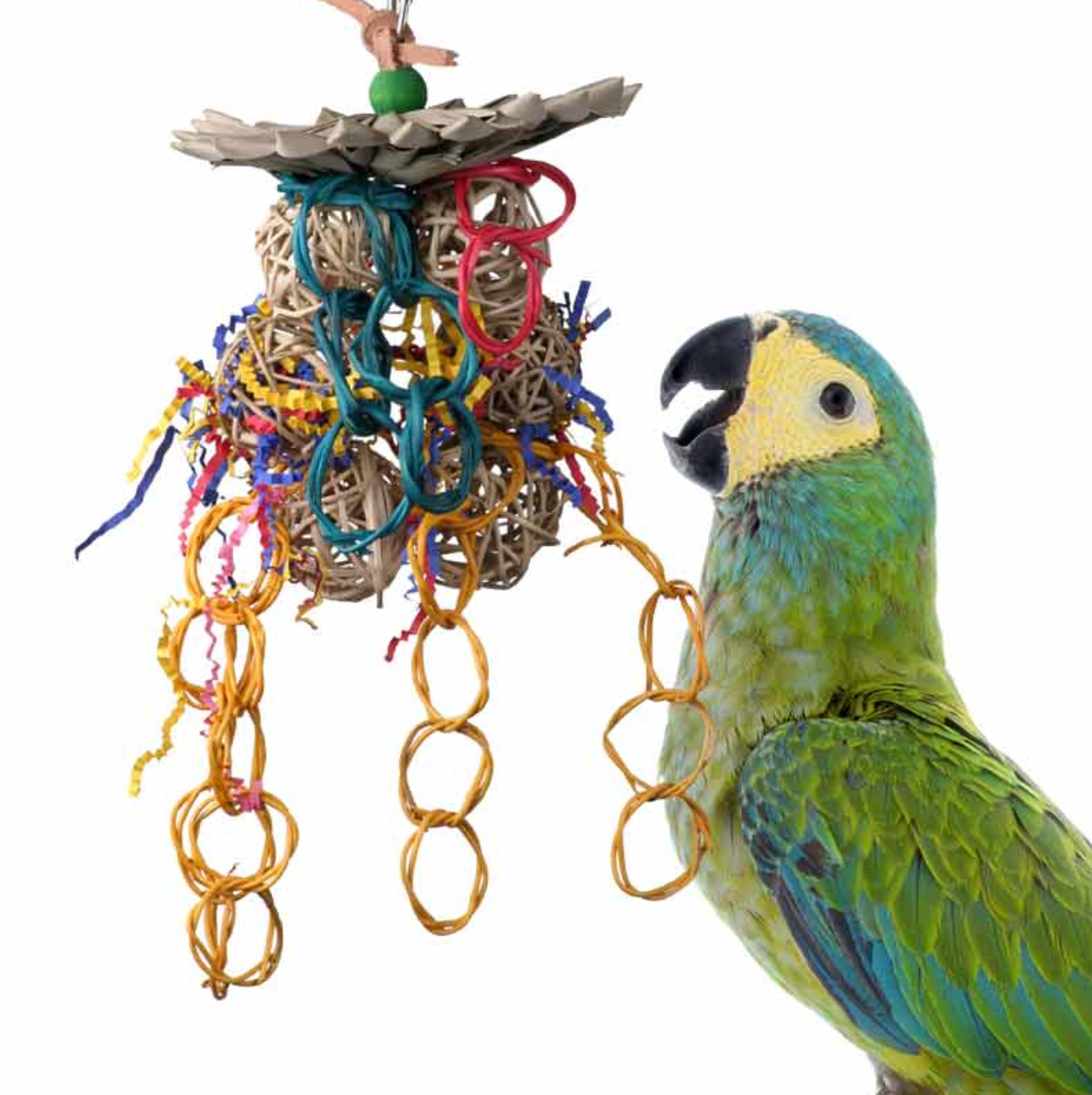 SB 535 Mex Hat Dance HEN