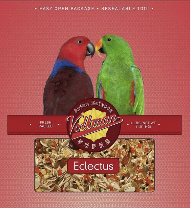 VOL Eclectus 4#