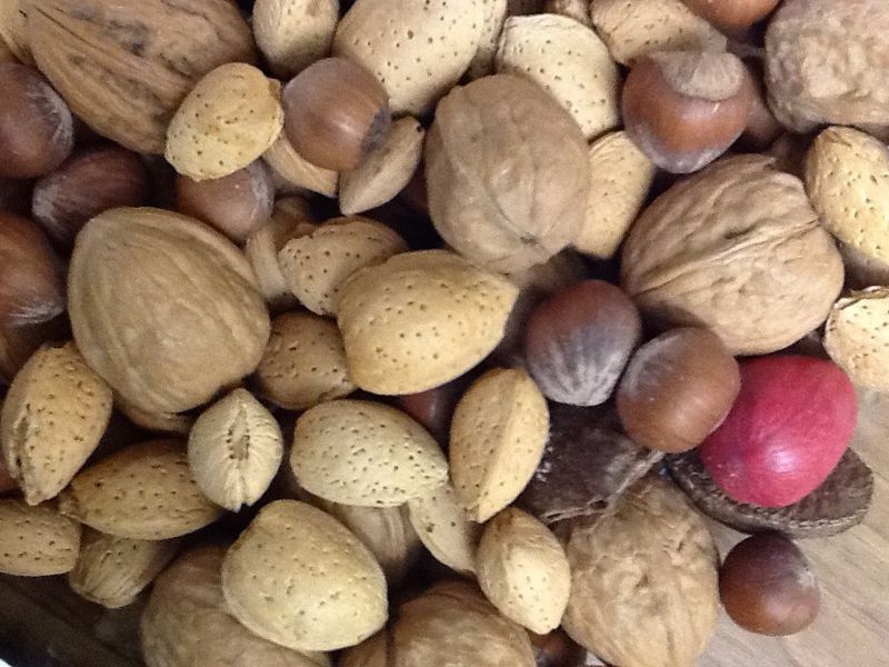 NM MIXED NUTS 1 #