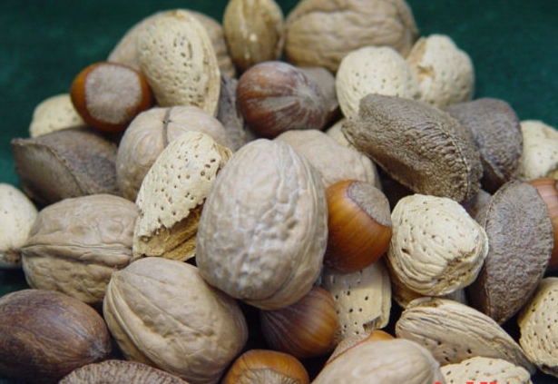 NM MIXED NUTS 2 #