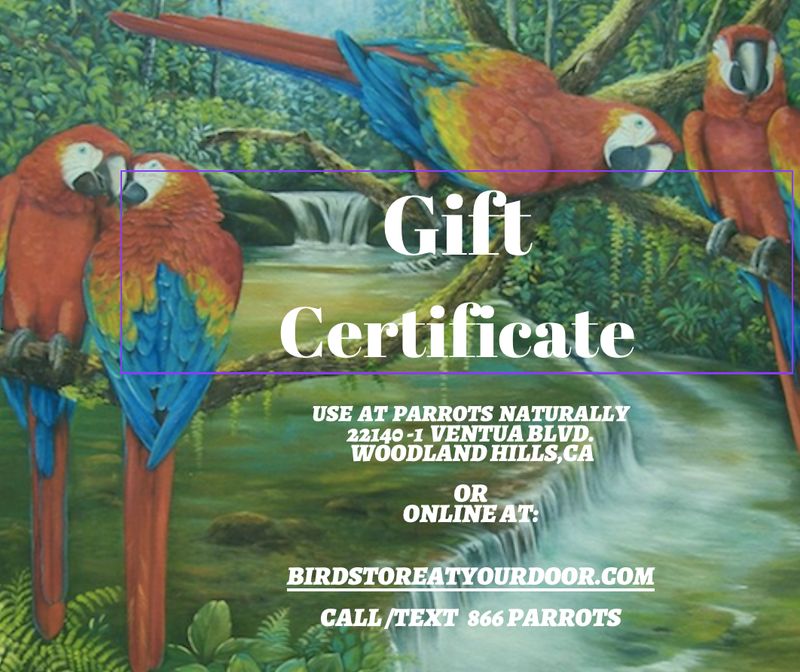 Bird Store at Your Door Bird Store at Your Door