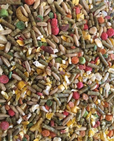 NM Seed Free Mix MINI 4 #