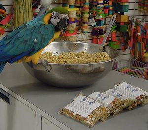 NM Waldo's Delight 2 #