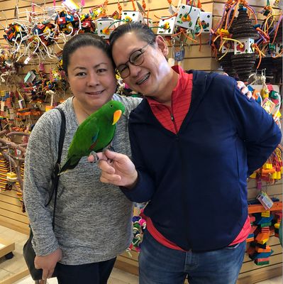 ADOPTIONS AND REHOMING