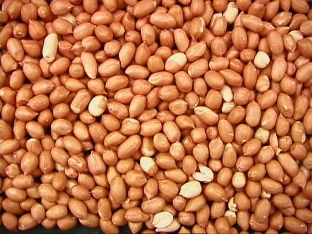 NM PEANUTS Spanish 1 #