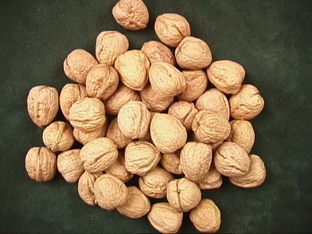 NM WALNUTS in the shell 2 # NM WALNUTS in the shell 2 #