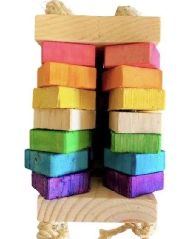 JTY 234 Lion JTY 234 Lion