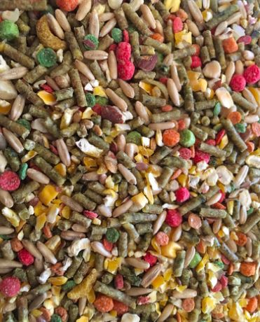 NM Seed Free Mix MINI 4 #