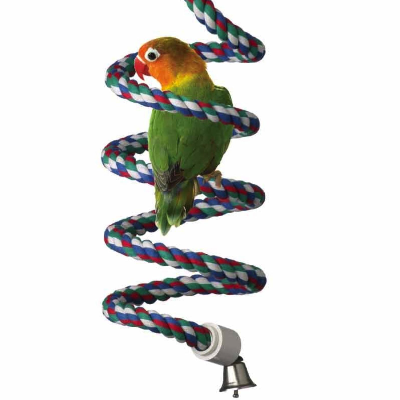 SB 323 Bungee coil  Small