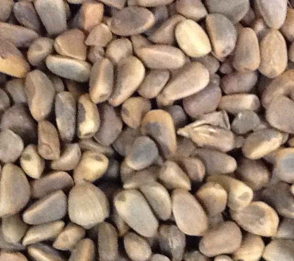 NM Pinenuts 8 oz NM Pinenuts 8 oz