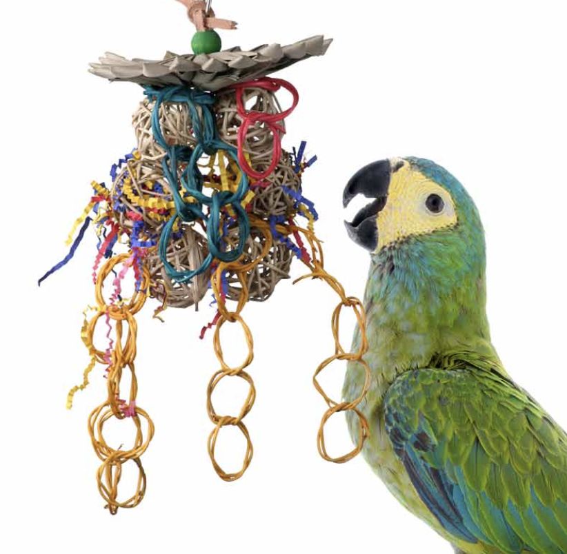 SB 535 Mex Hat Dance HEN