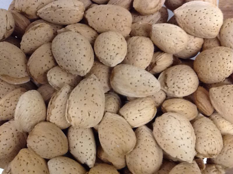 NM Almonds in Shell 1# NM Almonds in Shell 1#