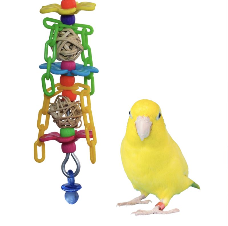 SB 1126 Flower Fest SB 1126 Flower Fest