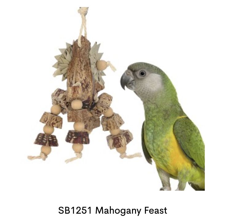 SB 1251 Mahogany Feast SB 1251 Mahogany Feast