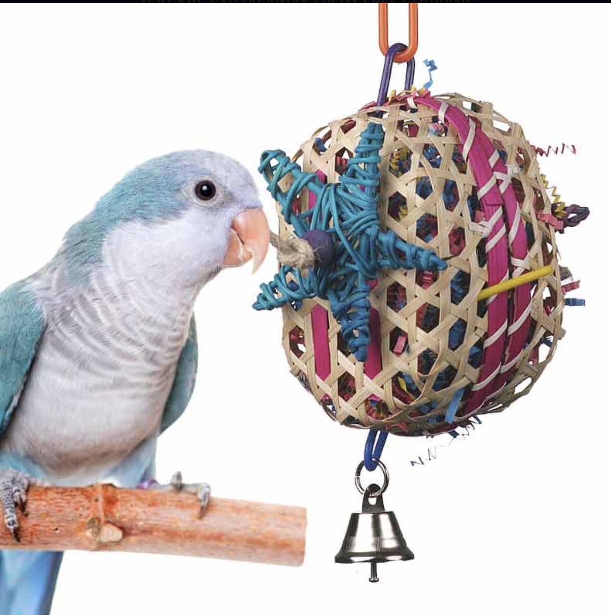 SB 5 732 Basket Case