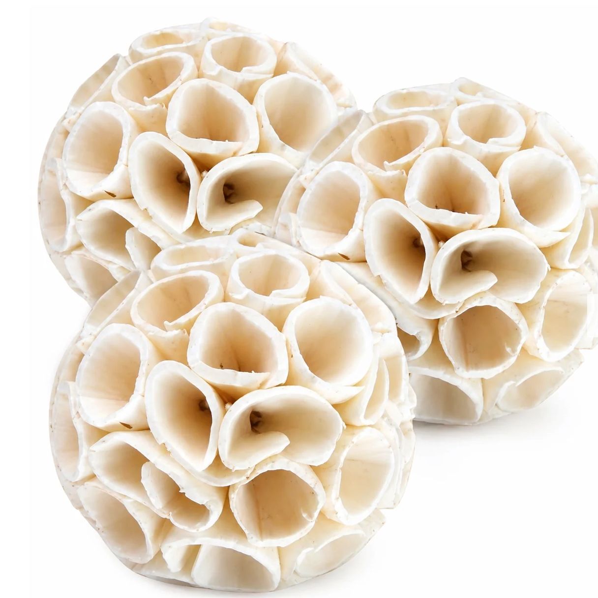 CAI Sola Crepe Balls