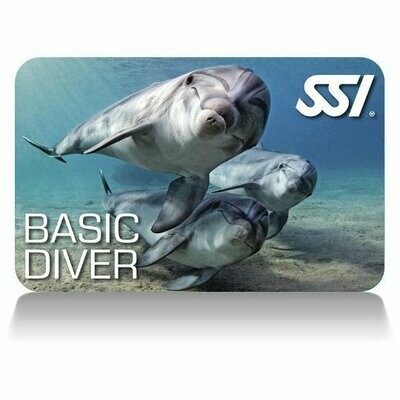 SSI Basic Diver