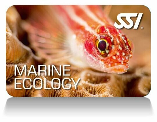 SSI Ecología Marina