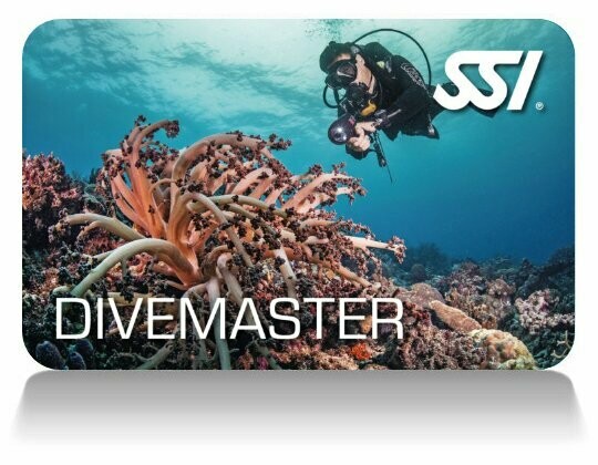 SSI Dive Master N/A